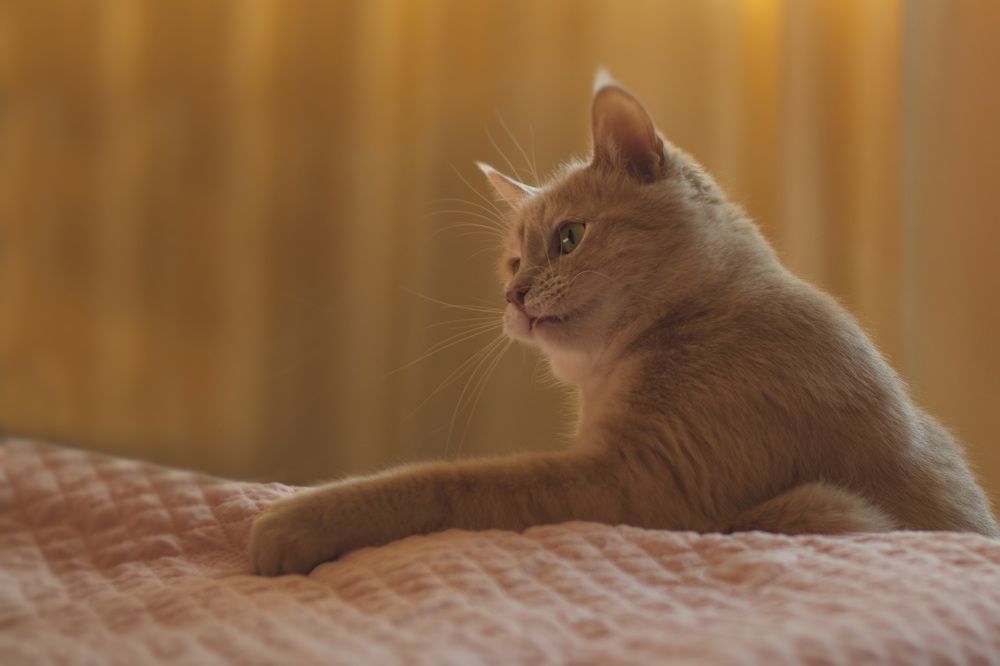 Photograph by Елена Ласун