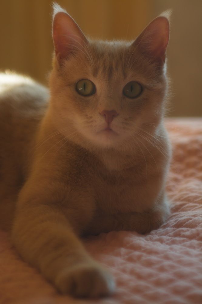 Photograph by Елена Ласун