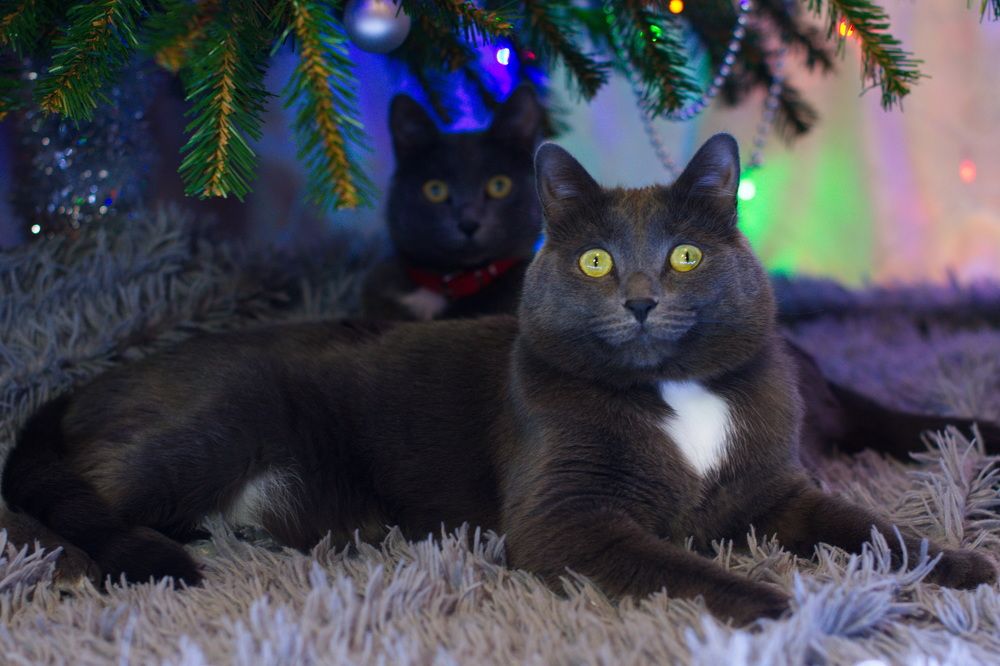 Photograph by Елена Ласун