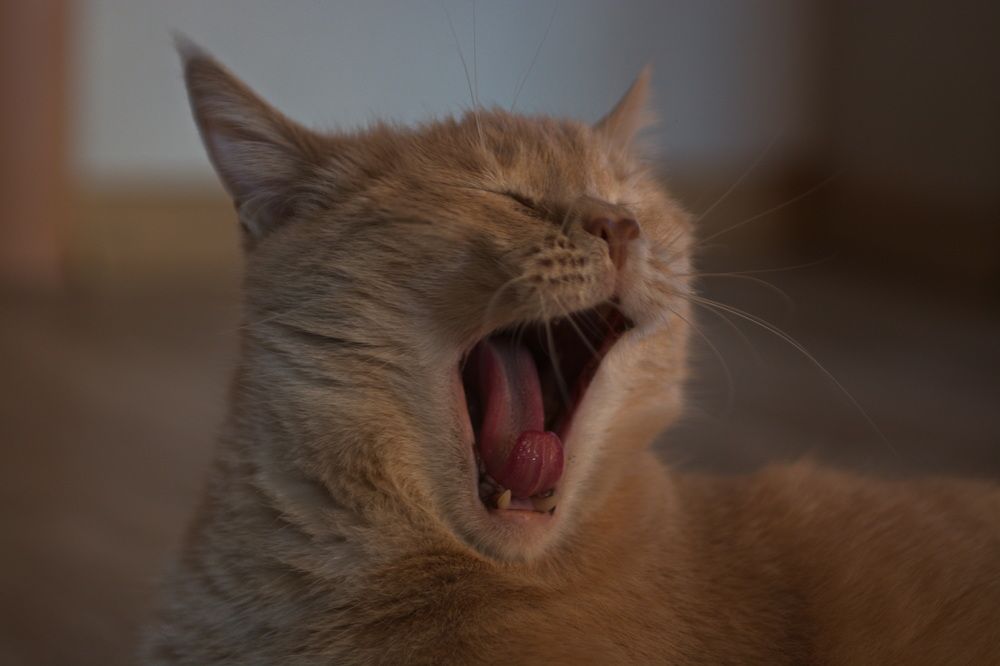 Photograph by Елена Ласун