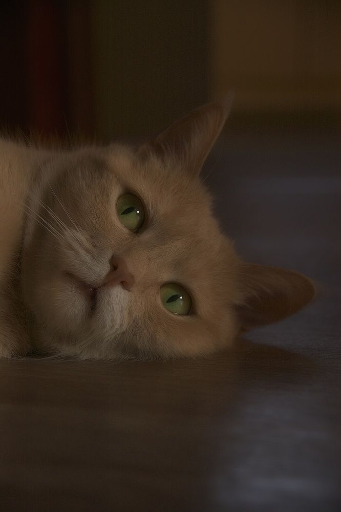 Photograph by Елена Ласун