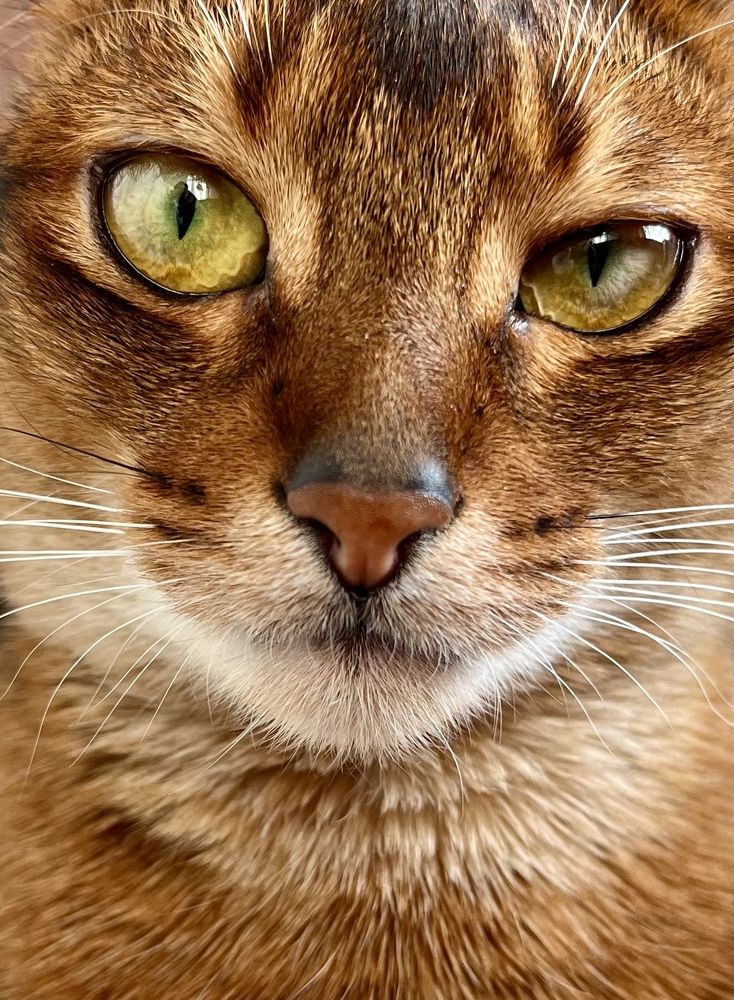 Photograph by Ekaterina Chernyshova