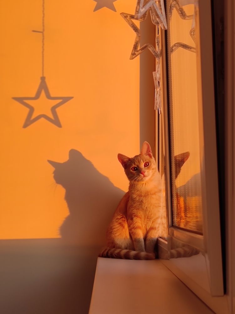 Photograph by Екатерина Харитонова