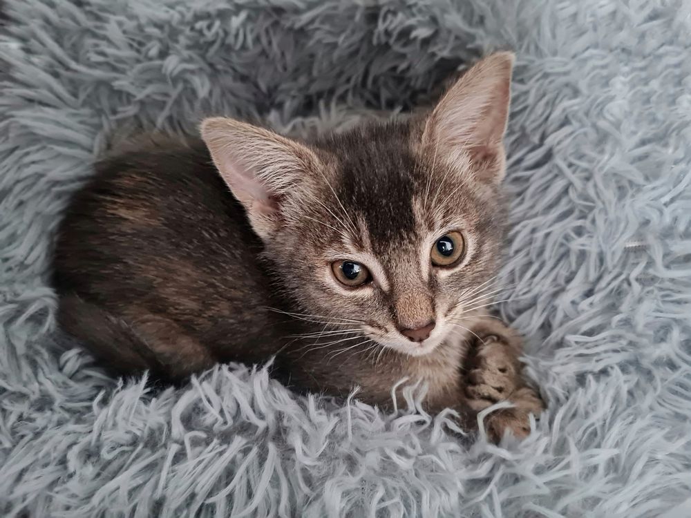 Photograph by Мария Шамина