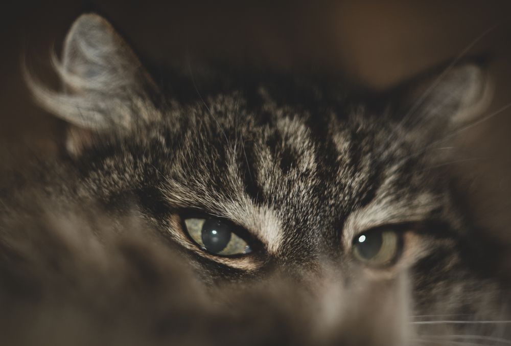 Photograph by Максим Жухлистов