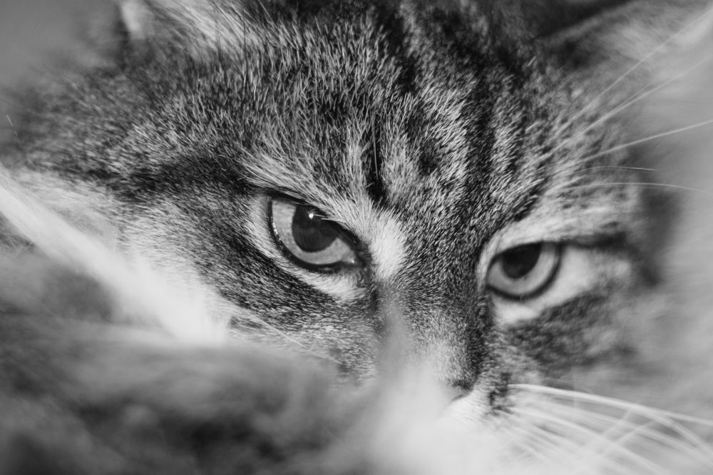 Photograph by Максим Жухлистов