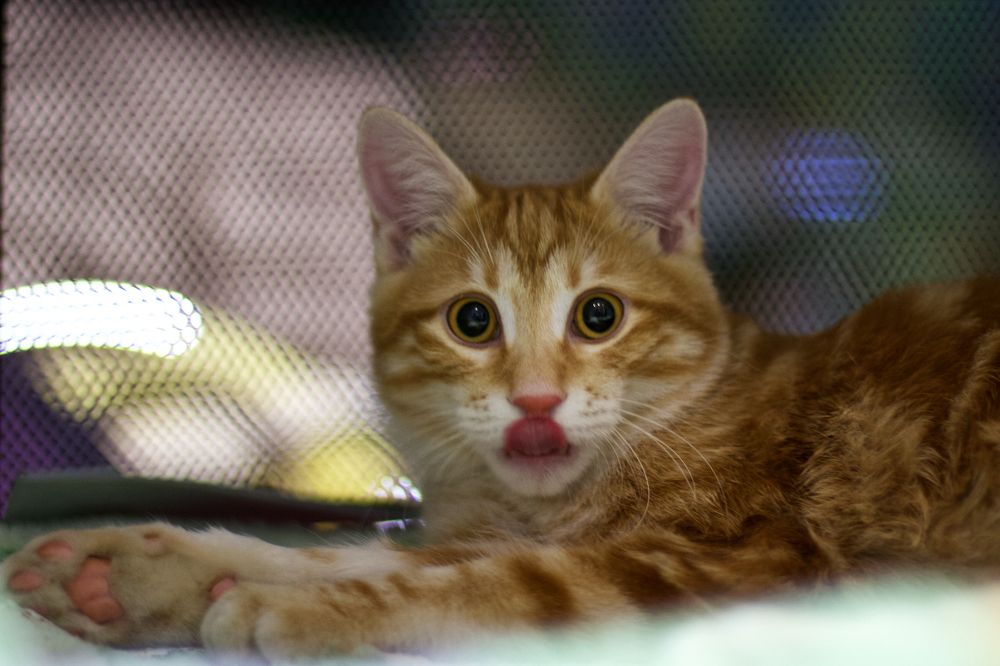 Photograph by Алёна Гильмуллина