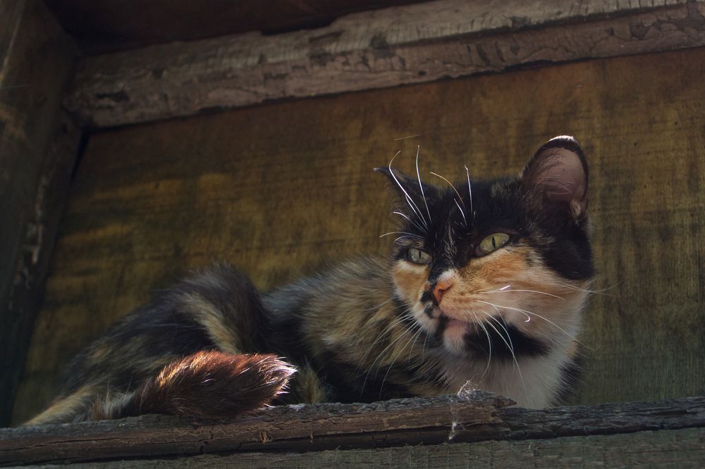 Photograph by Алёна Гильмуллина