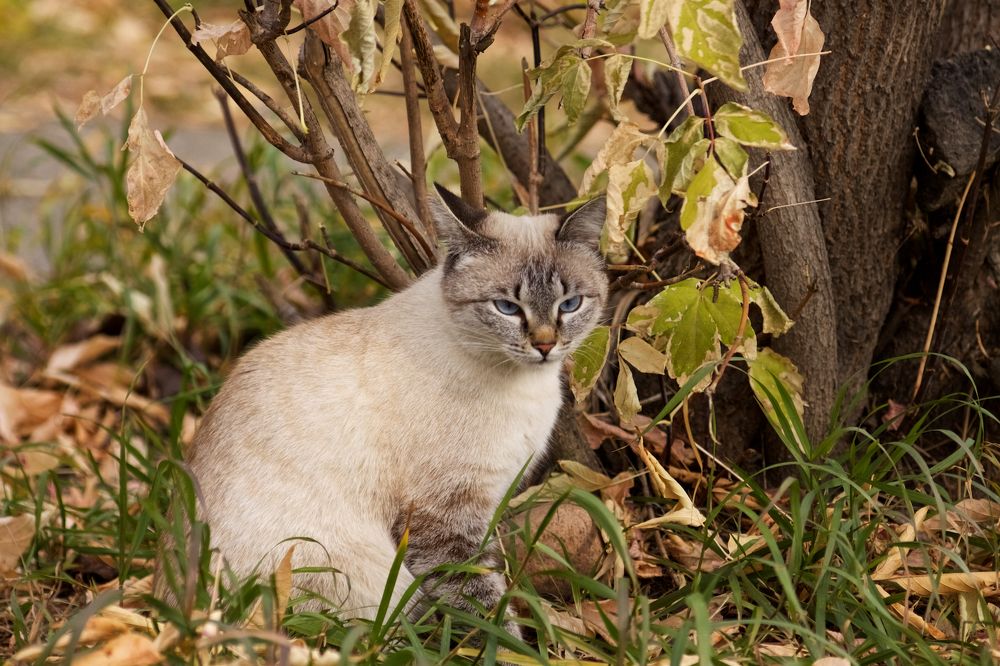 Photograph by Алёна Гильмуллина