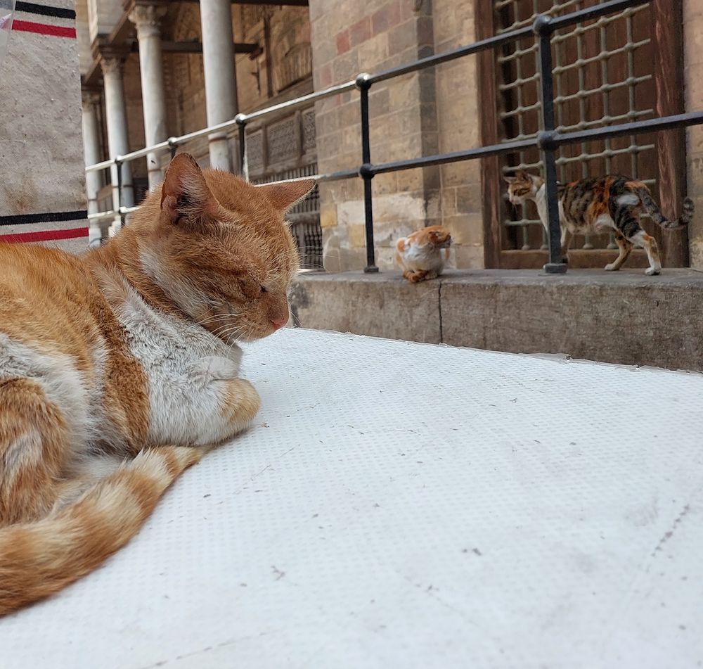 Photograph by Sohaila Saleh