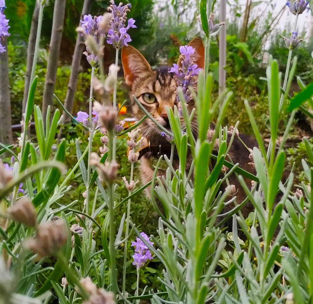 Photograph by Денис