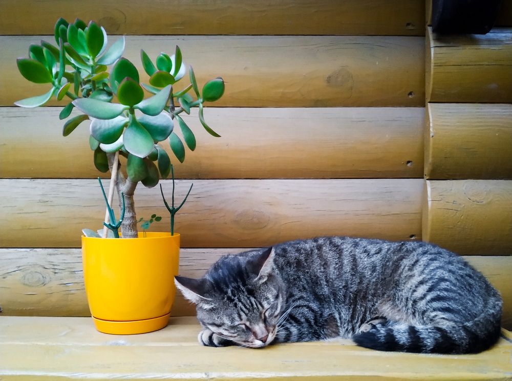 Photograph by Денис