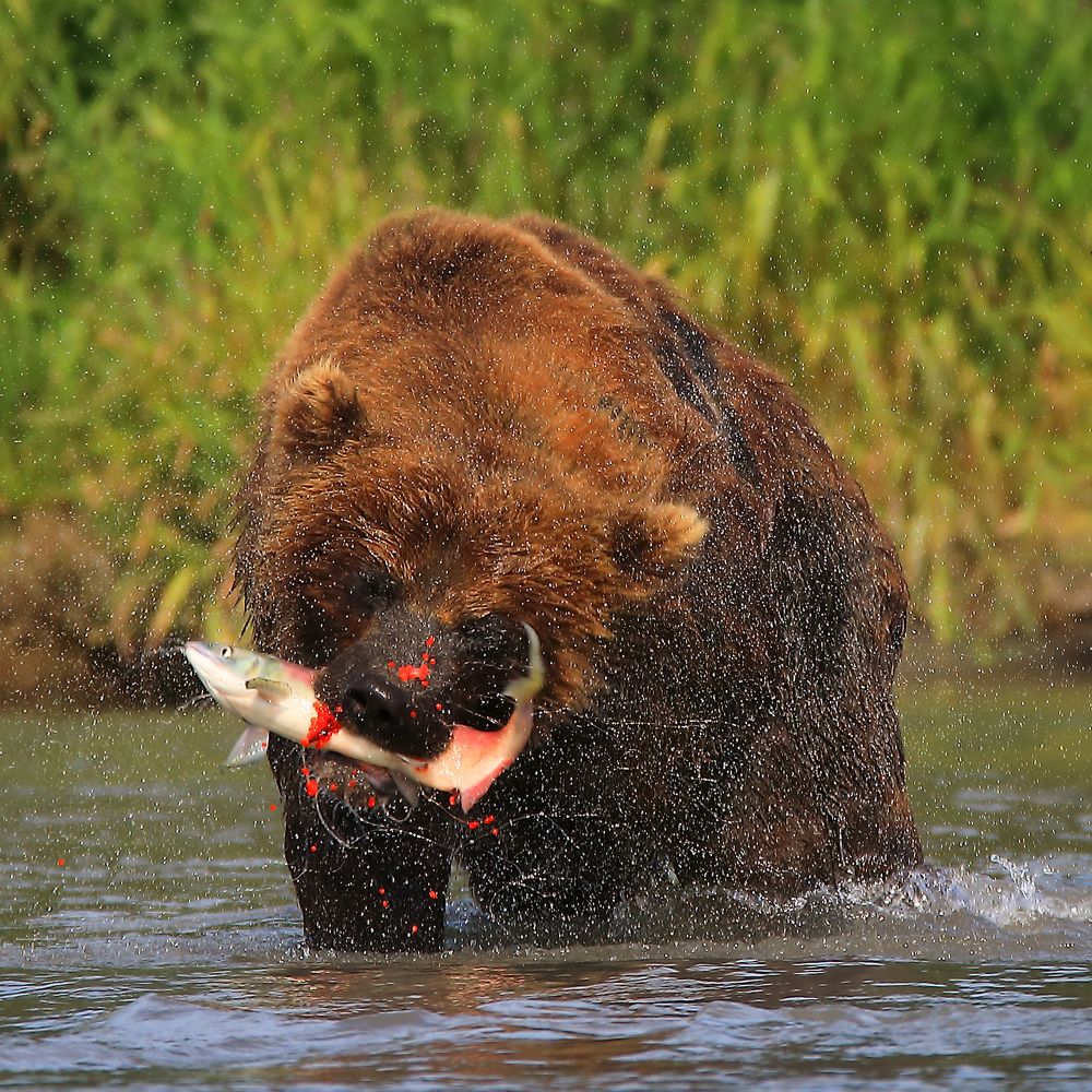 Фотография автора Boris Konovalov