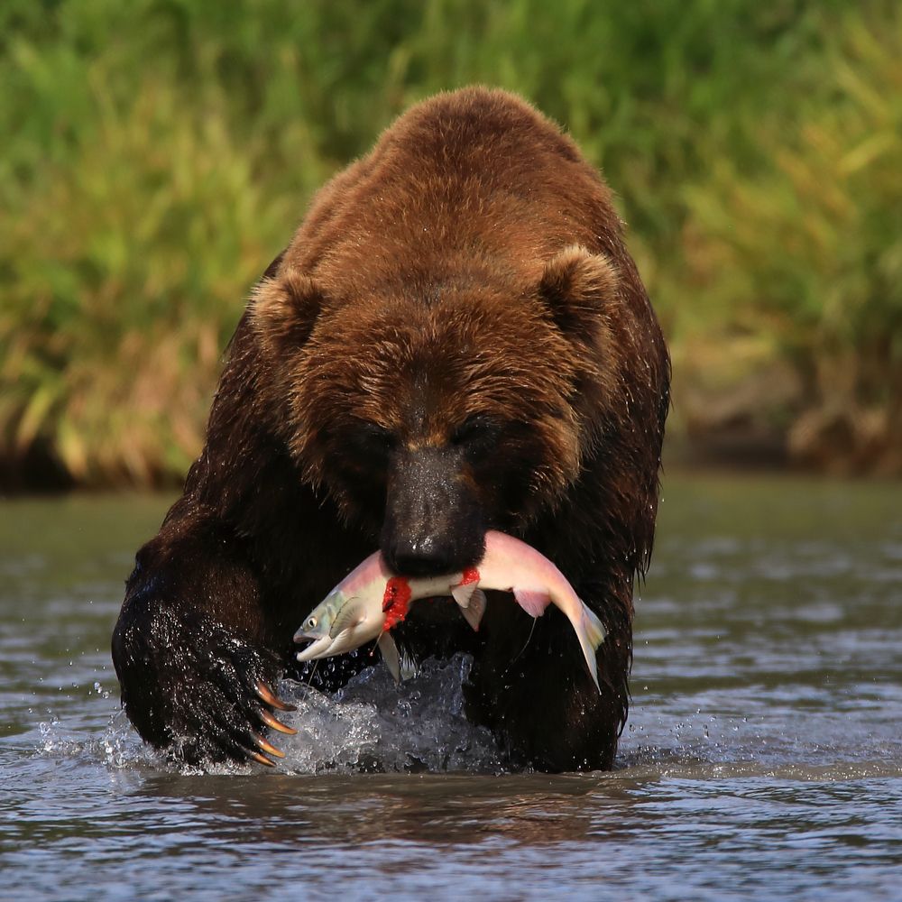 Фотография автора Boris Konovalov