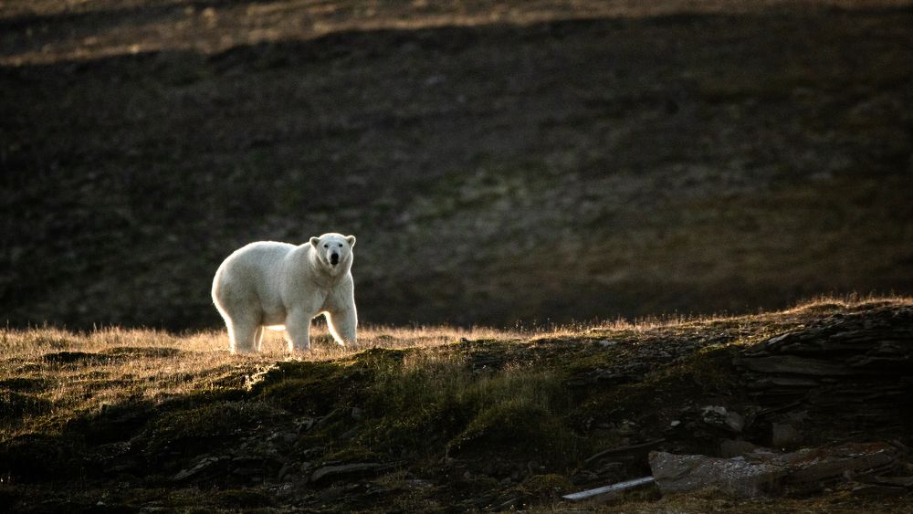 Photograph by Boris Konovalov
