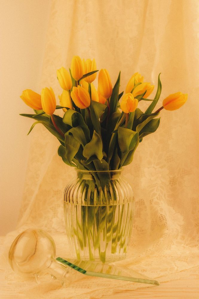 Photograph by Олеся Межова