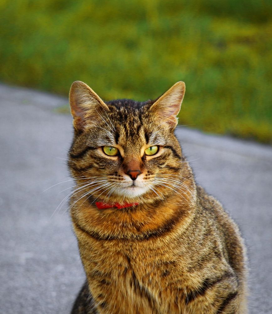 Photograph by Геннадий Натье (Игнатьев)