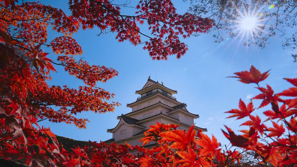 Photograph by Nguyễn Văn Hiếu