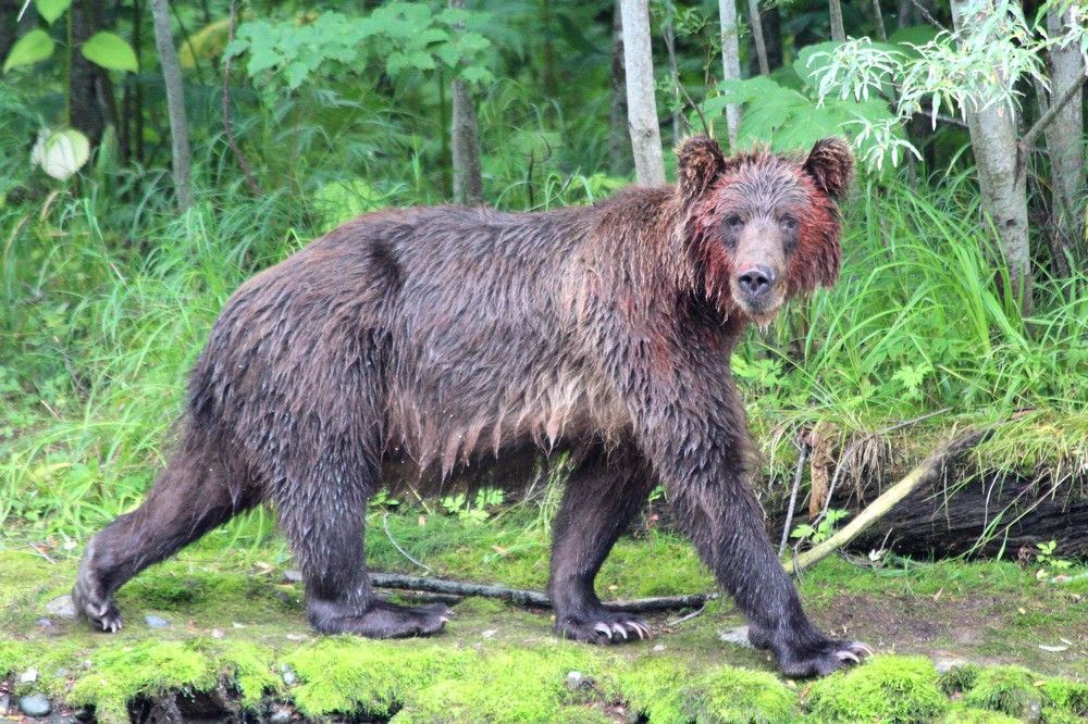 Photograph by Владимир Титов