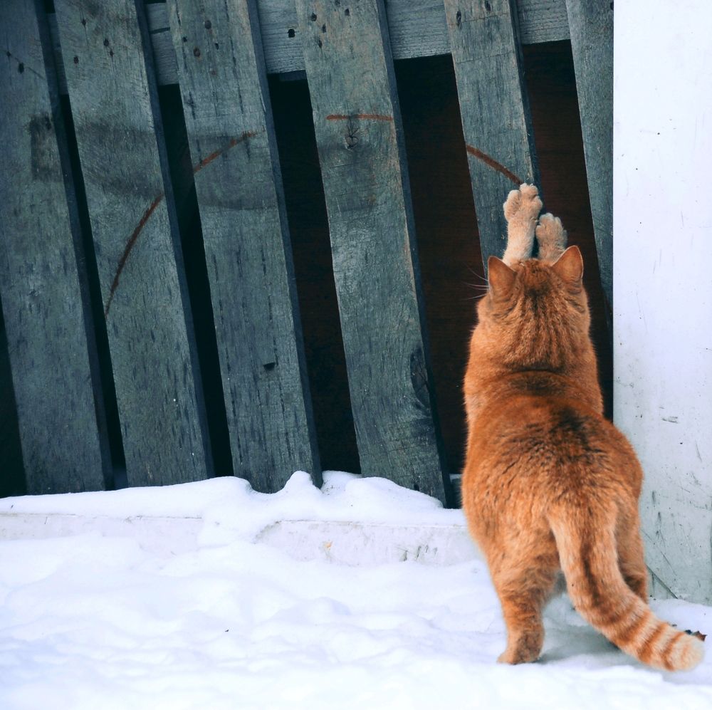 Photograph by Денис