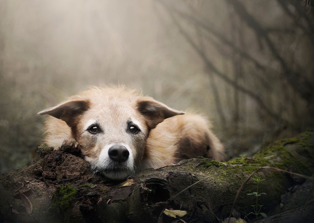 Photograph by leticia pascual garcia