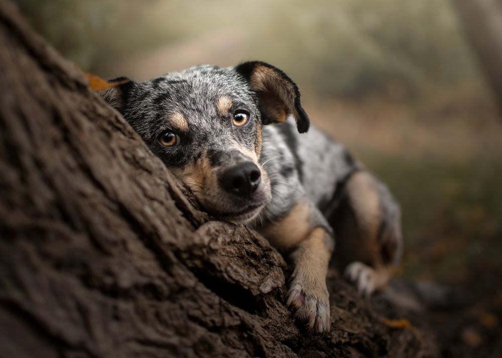 Photograph by leticia pascual garcia