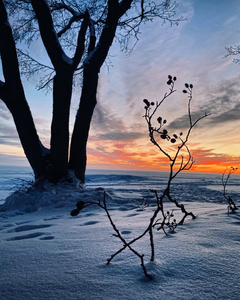 Photograph by Светлана Коган