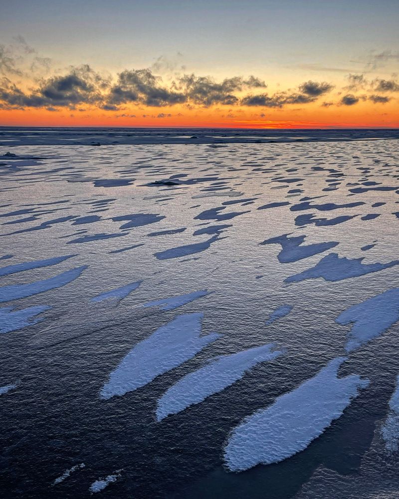 Photograph by Светлана Коган