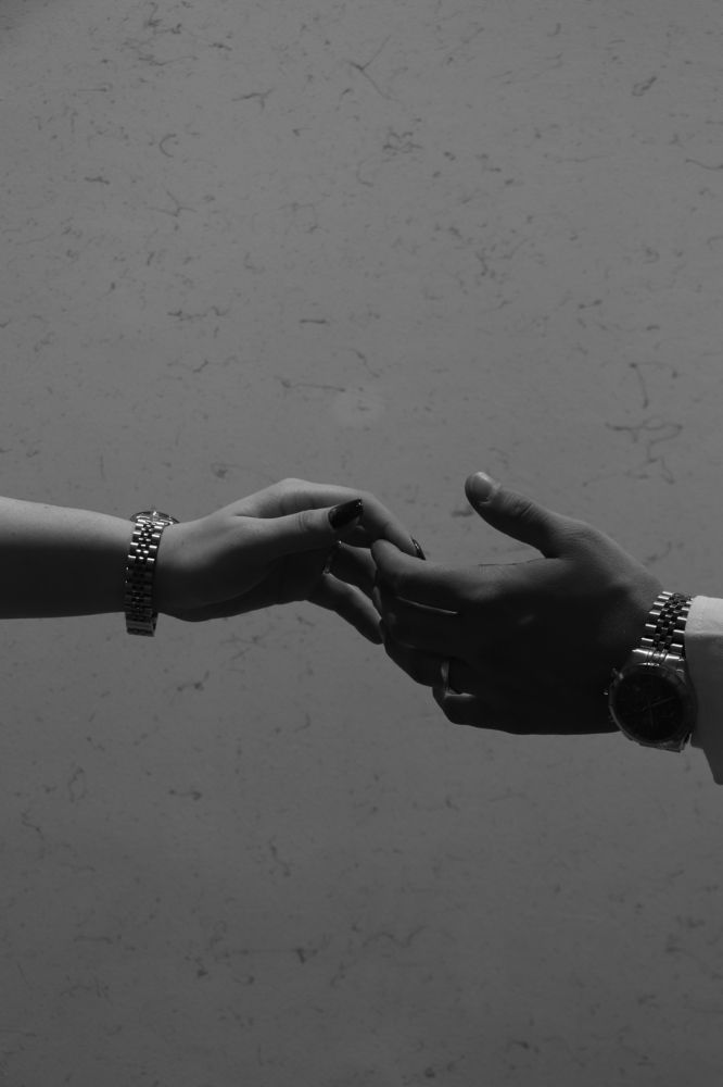Photo #9004623