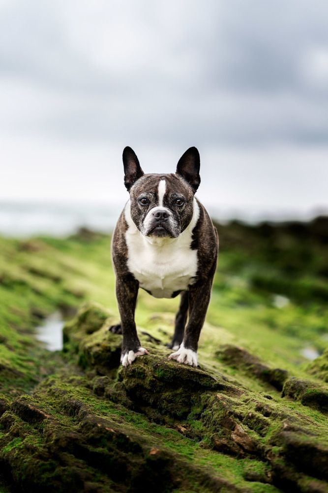 Фотография автора lucia saiz