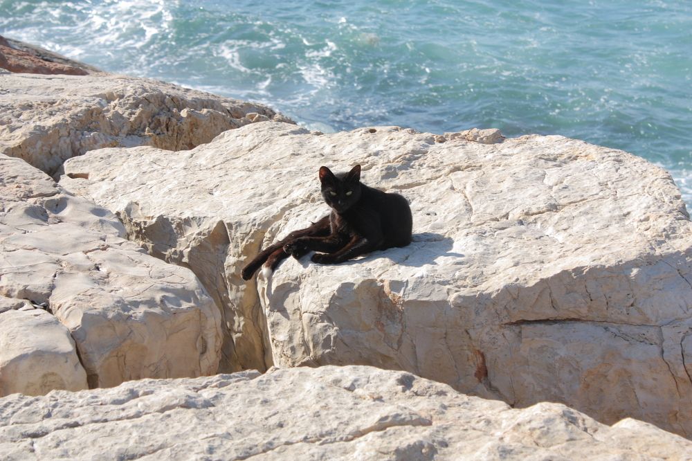 Photograph by Игорь