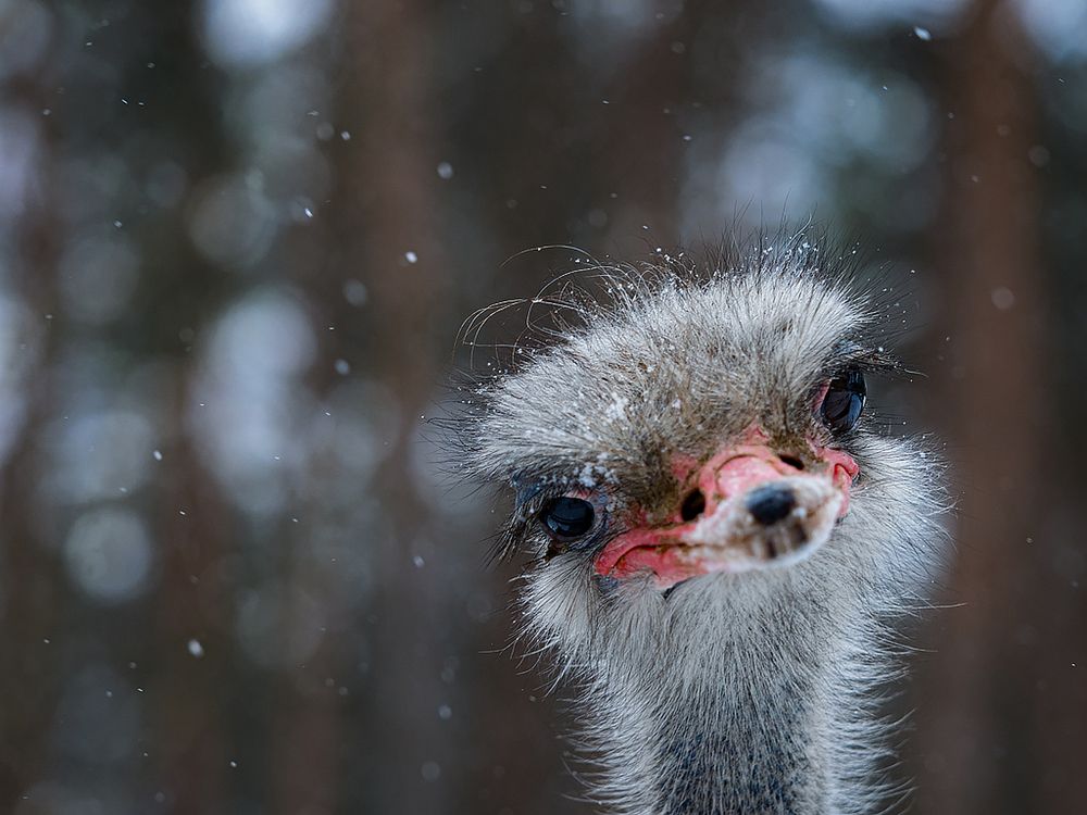 Photograph by Елена Бурцева