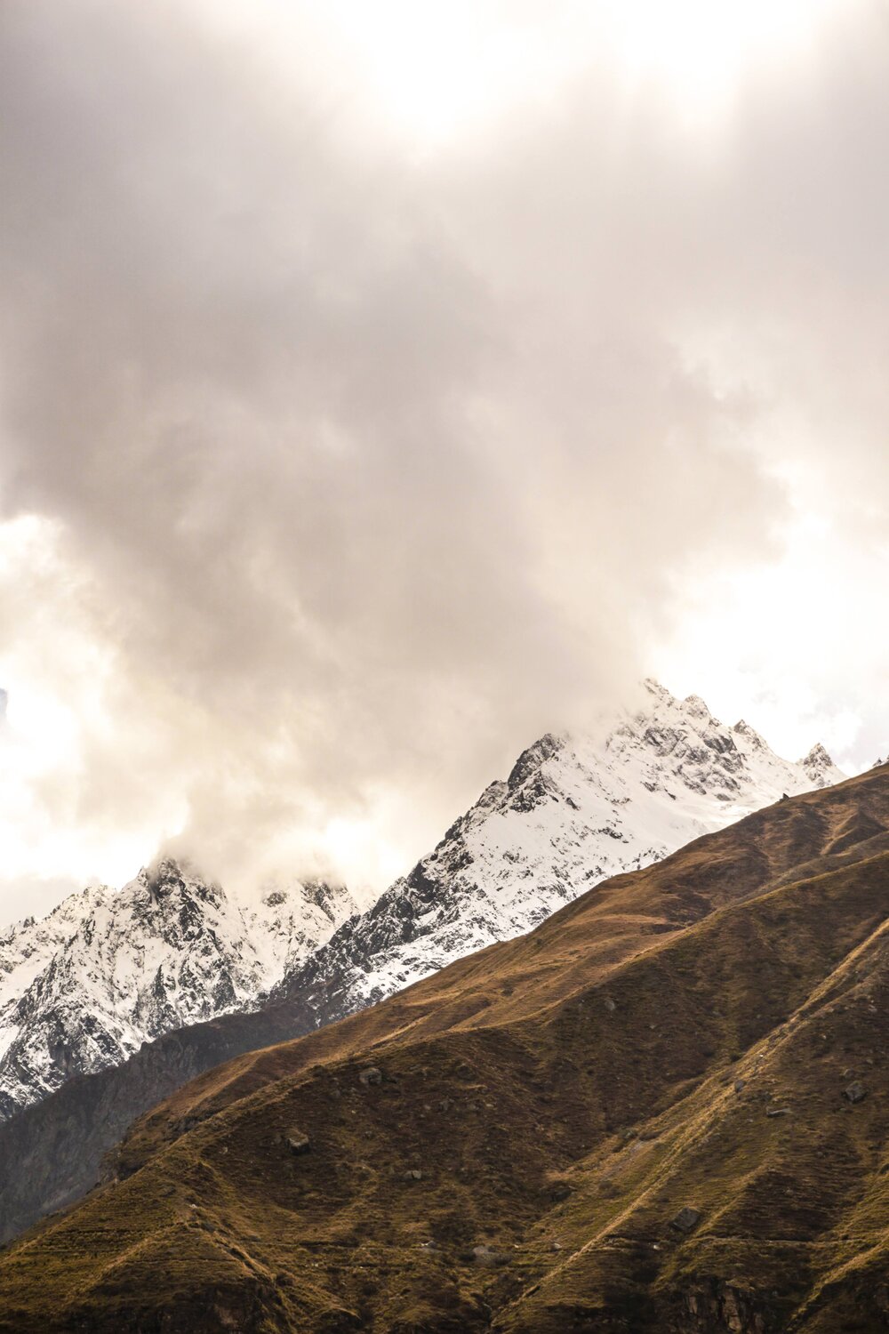 Photo #9004662