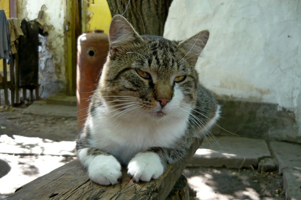 Photograph by Иван Скорик