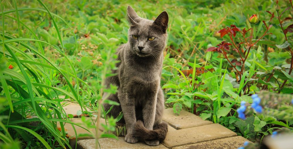 Фотография автора Максим Лозенко