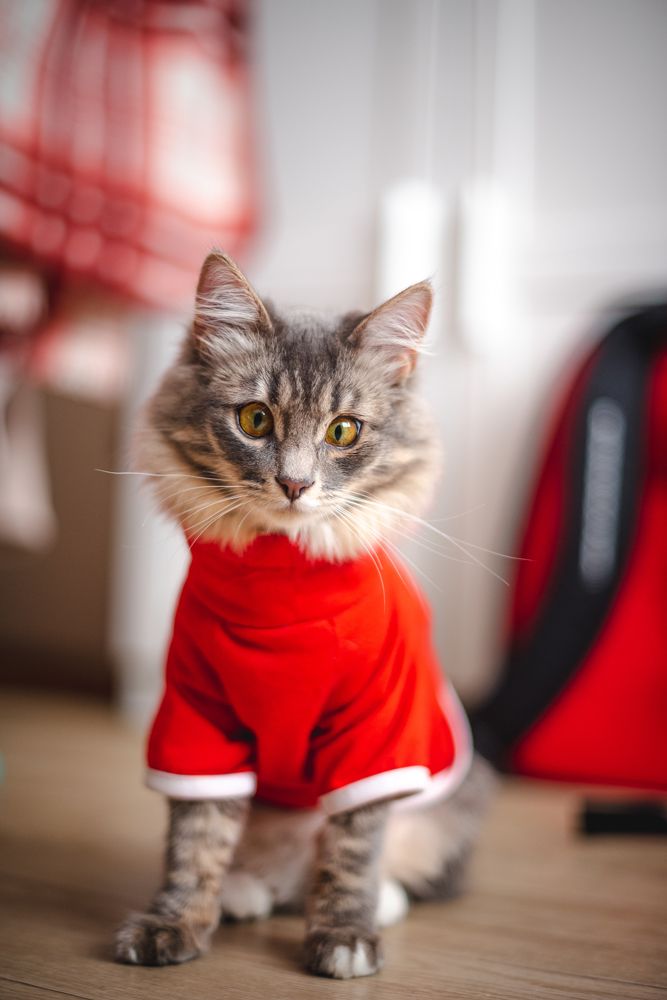 Photograph by Елизавета