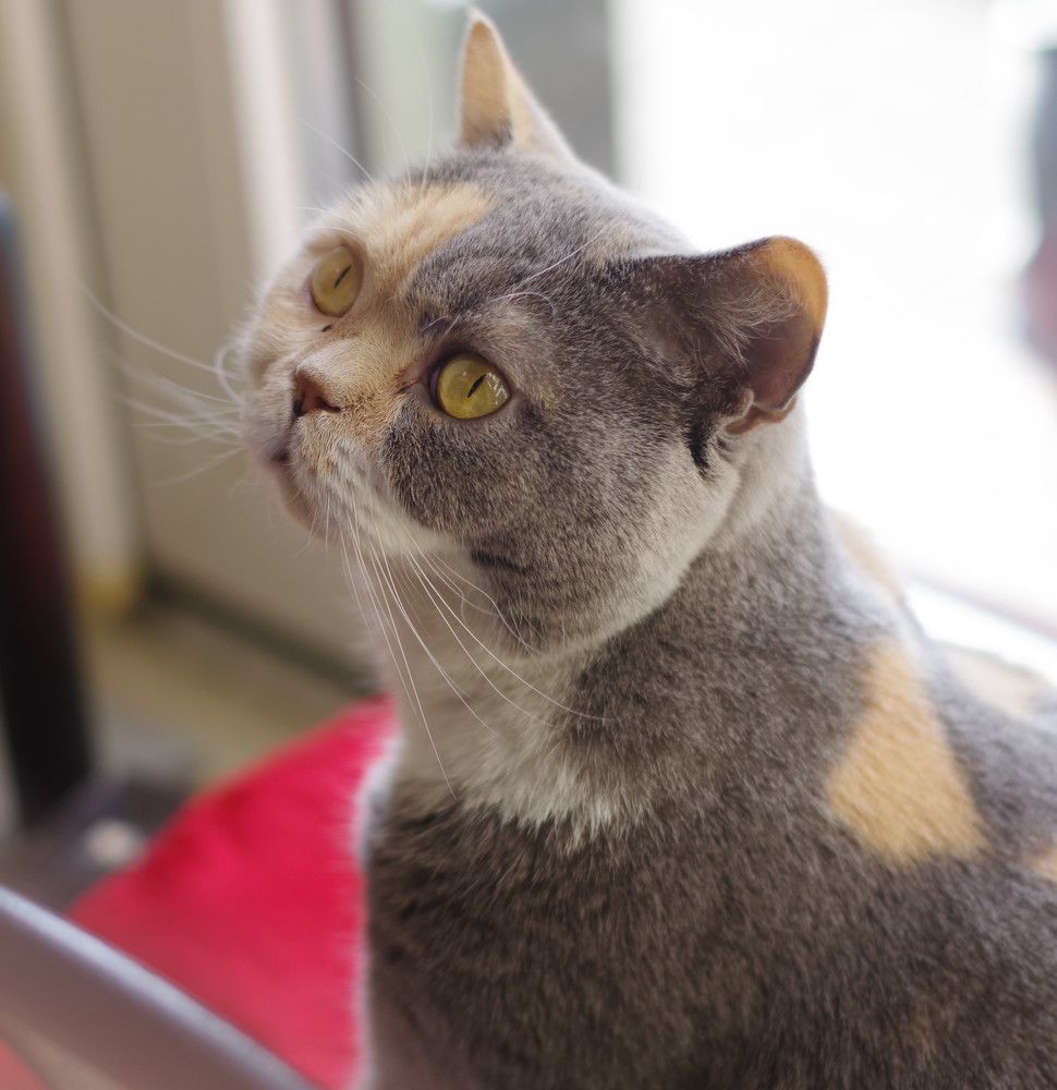 Photograph by Оксана Макарова