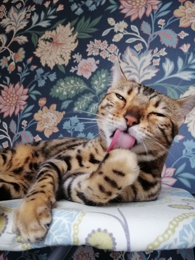 Photograph by Юлия Фирман