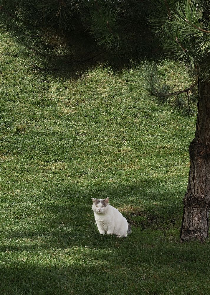 Photograph by Александра Безродная