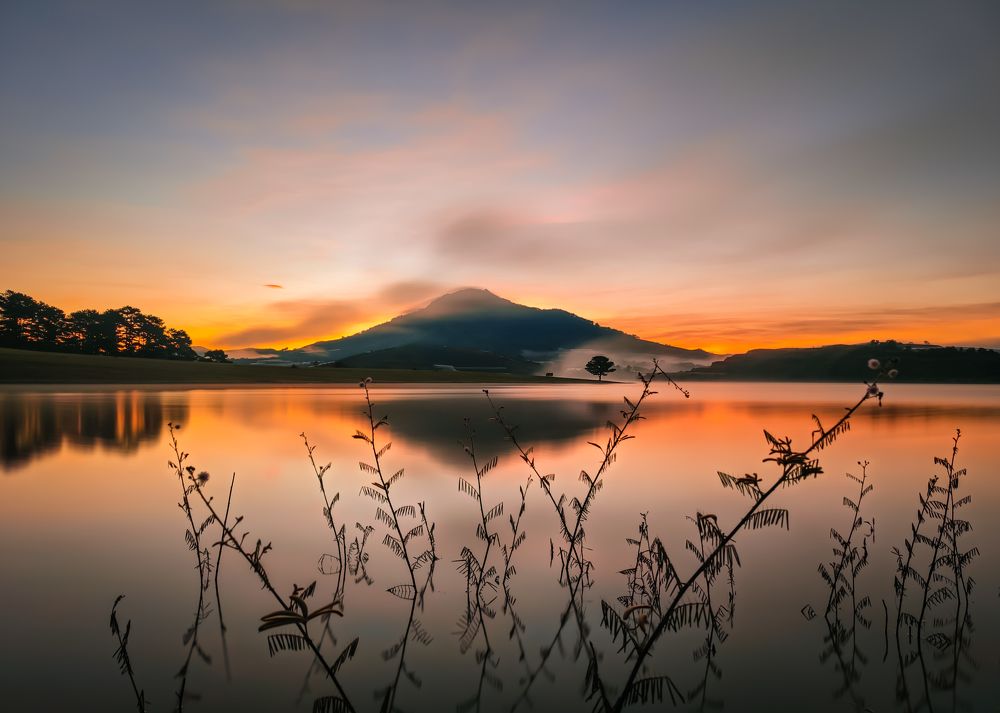 Фотография автора thanh sy