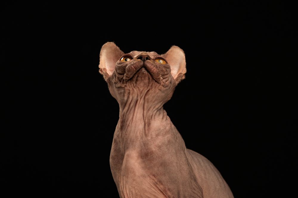 Photograph by Лана Полякова