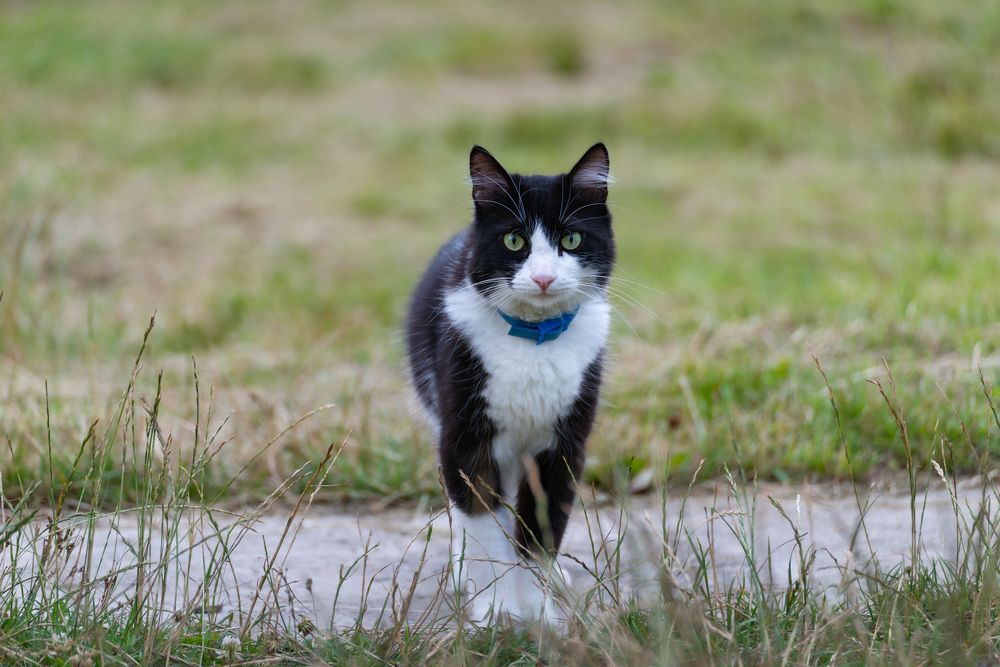 Photograph by Alexander Ornatskiy