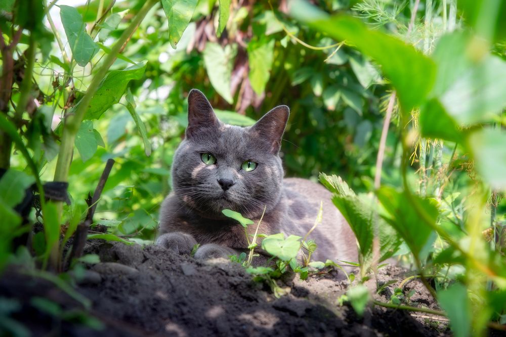 Photograph by Alexander Ornatskiy