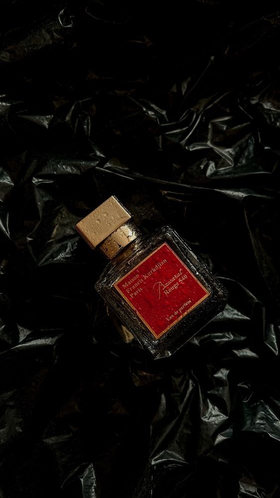 Фотография автора Лукашенко Ольга