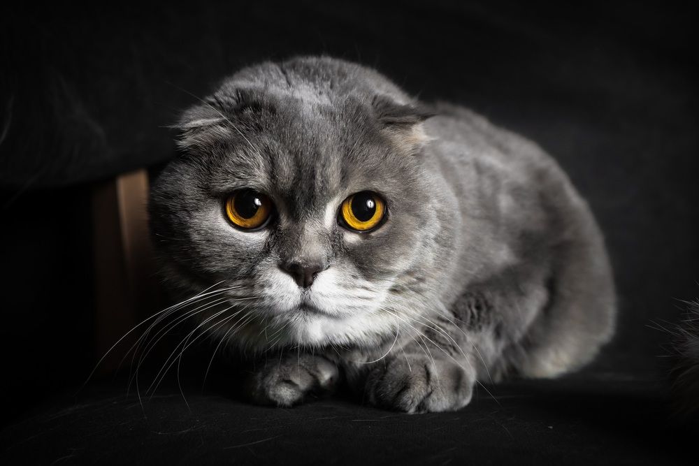 Photograph by Юлия Калугина