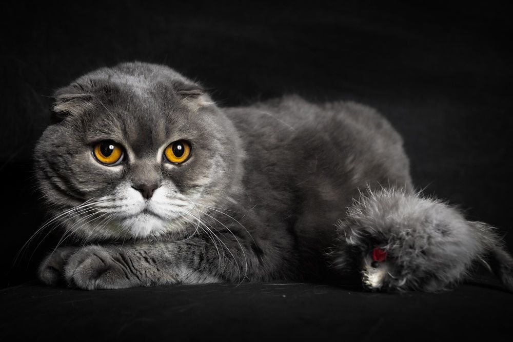 Photograph by Юлия Калугина