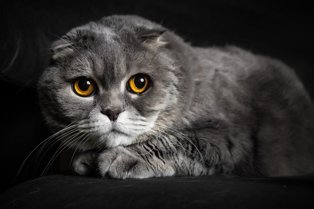 Photograph by Юлия Калугина