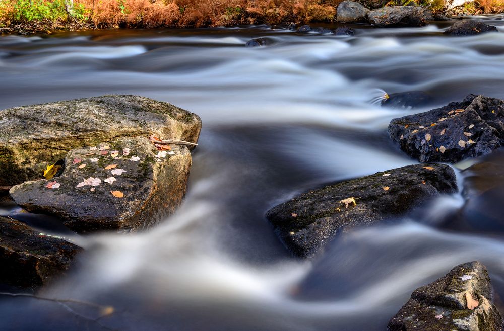 Photograph by Сергей Пестерев