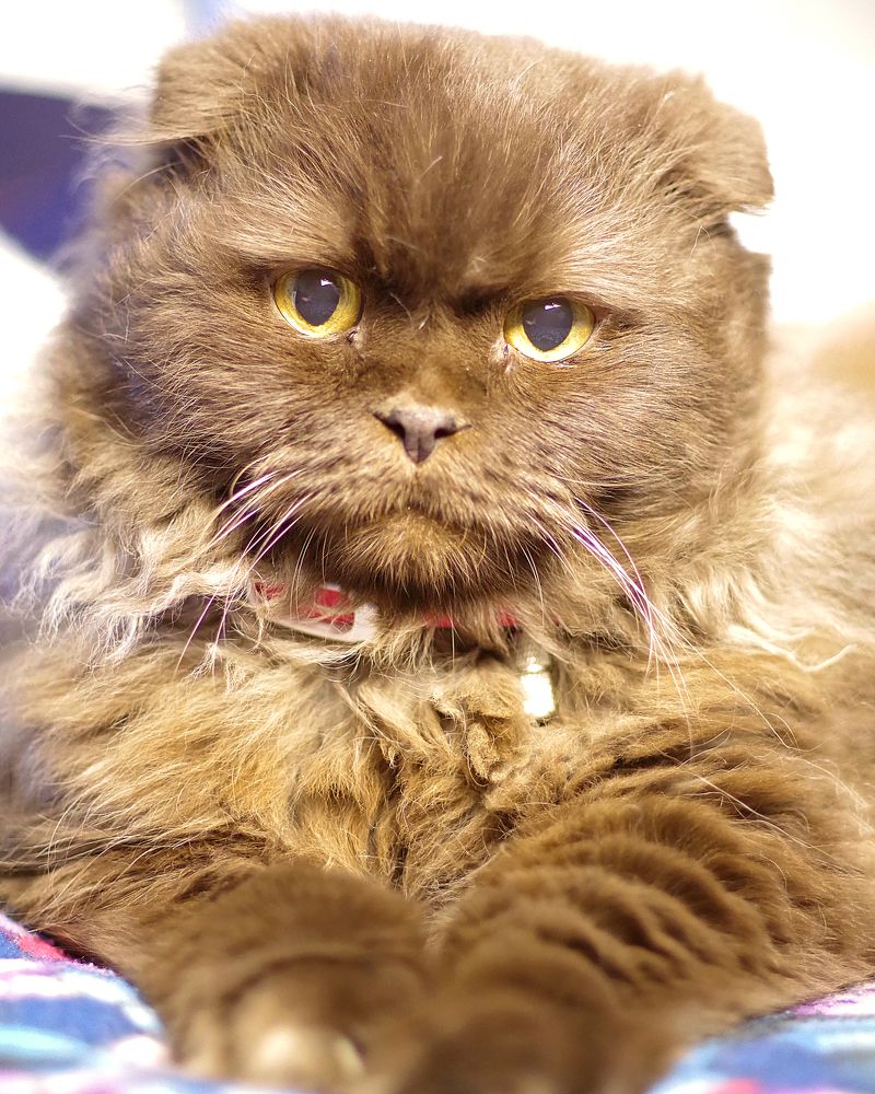 Photograph by Оксана Макарова