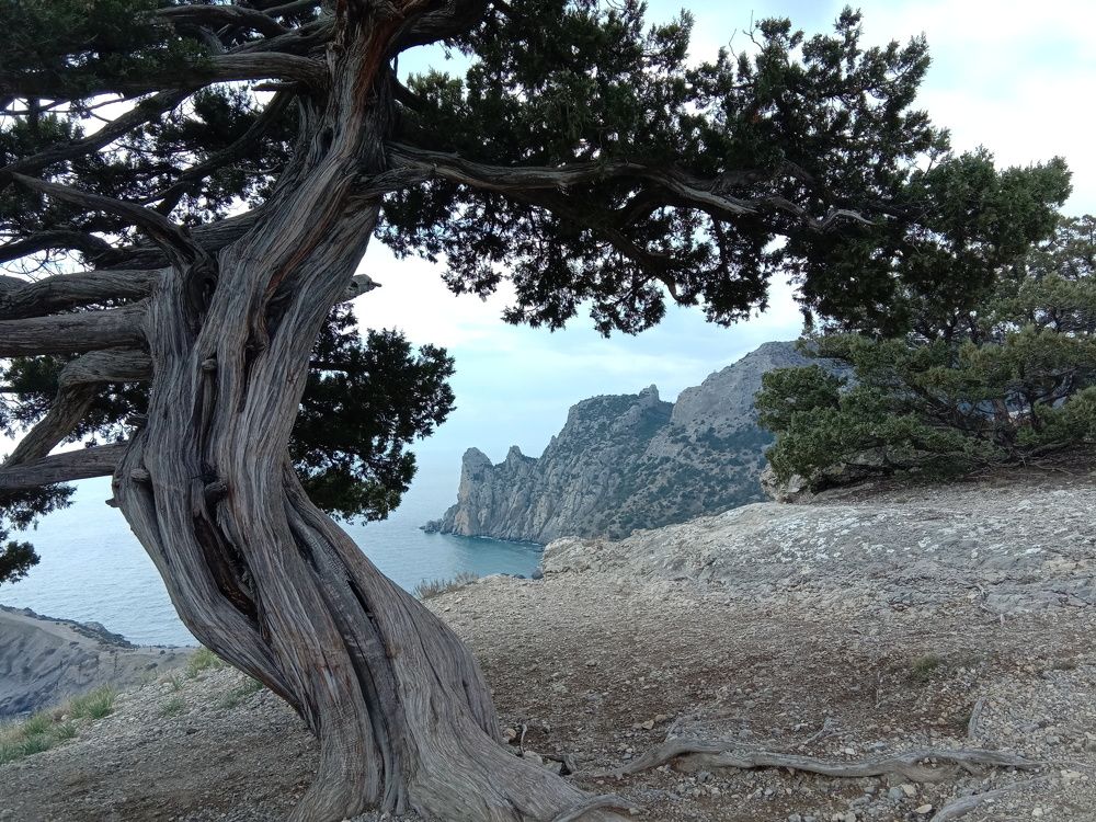 Photograph by Татьяна Стаскевич